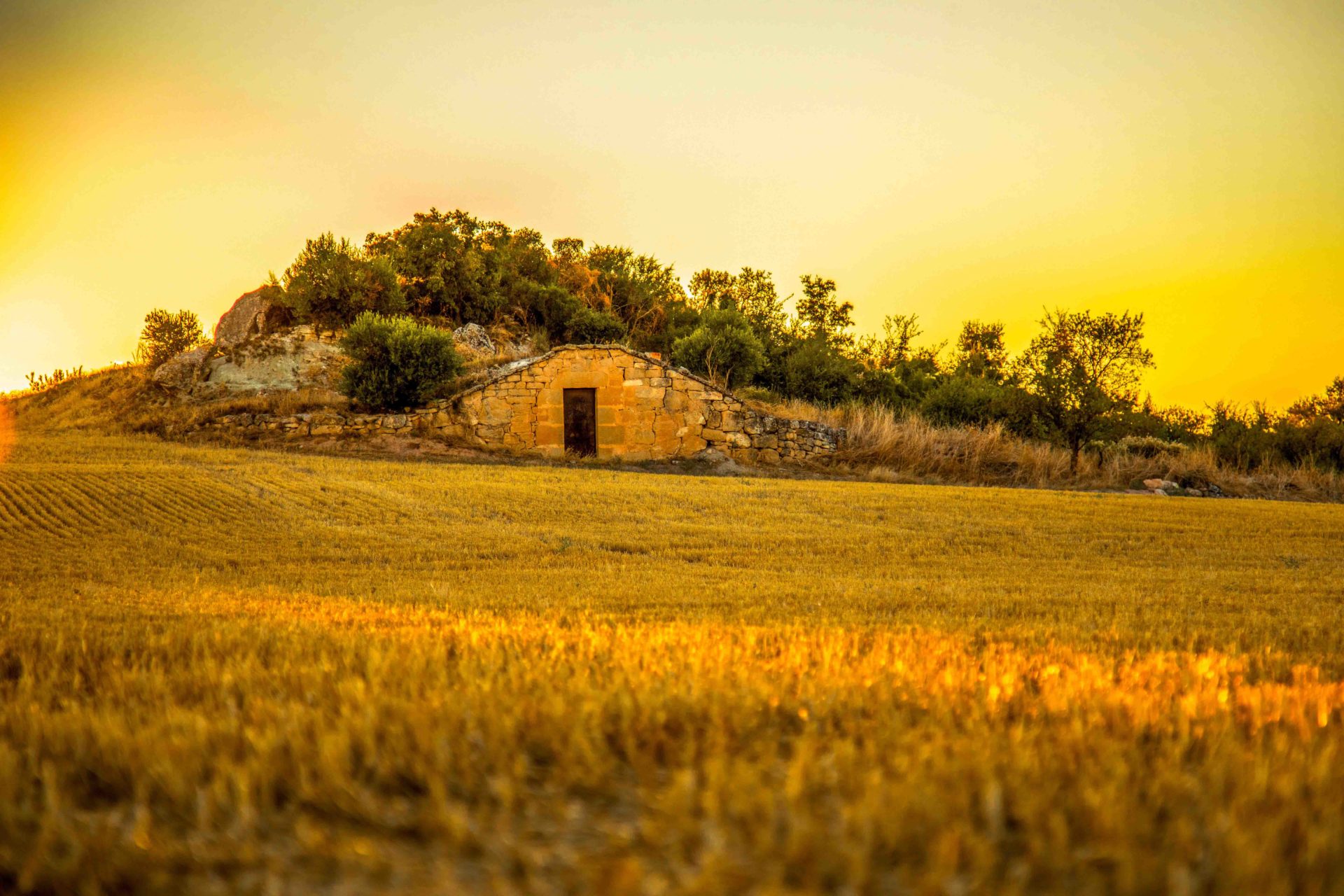 pedra seca arbeca garrigues