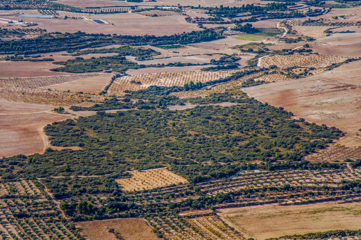 La garriga de la Pleta Arbeca Turisme
